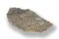 M 02629
<br/>
<br/>
<em></em>